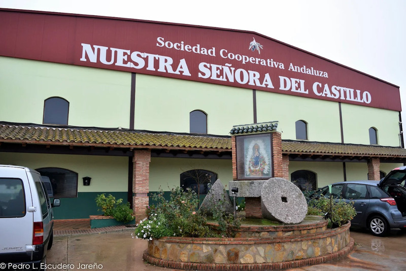 SCA Ntra. Sra. del Castillo 1