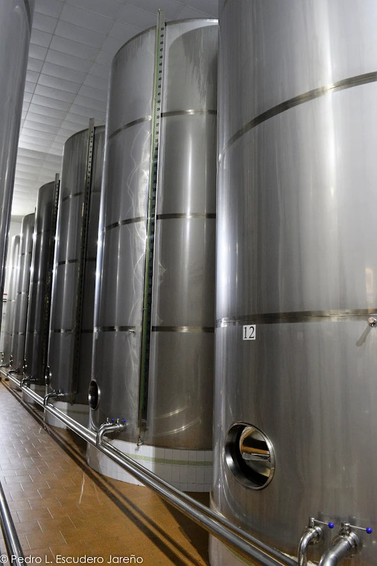 SCA Ntra. Sra. del Castillo 6