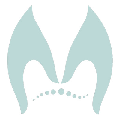 Clínica de Fisioterapia Manual Avanzada María José López Téllez