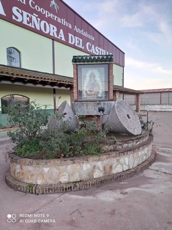 SCA Ntra. Sra. del Castillo 2