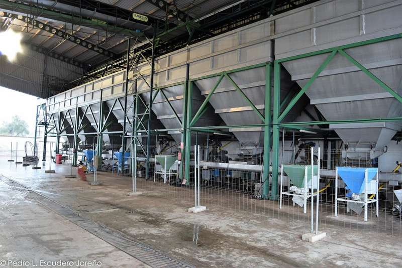 SCA Ntra. Sra. del Castillo 4