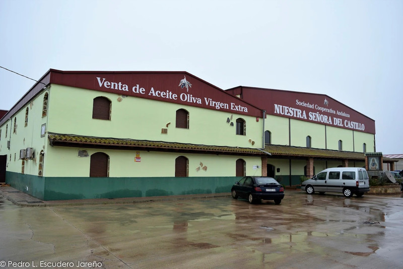 SCA Ntra. Sra. del Castillo 7