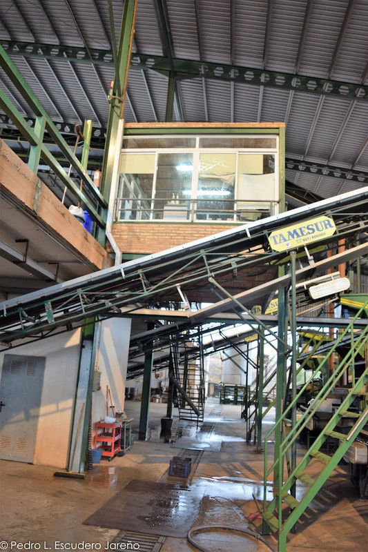 SCA Ntra. Sra. del Castillo 5